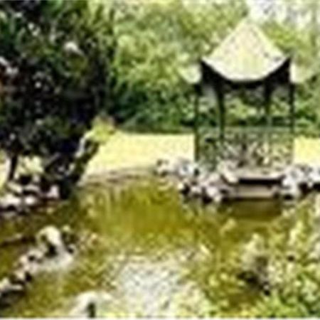 Cypress Hotel Jin Jiang Shanghái Exterior foto